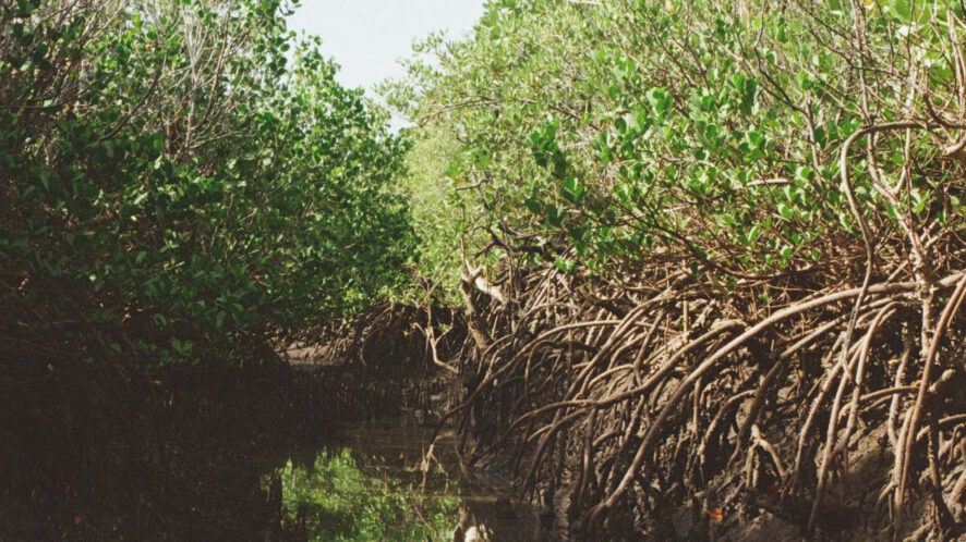 Weiterbildung: Grounded Transformation